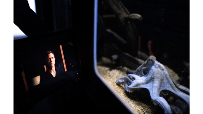 This Octopus Is Named Gamora And It Has A James Bond Obsession