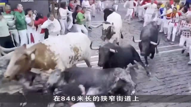 西班牙奔牛节将落幕 女性参与者增多