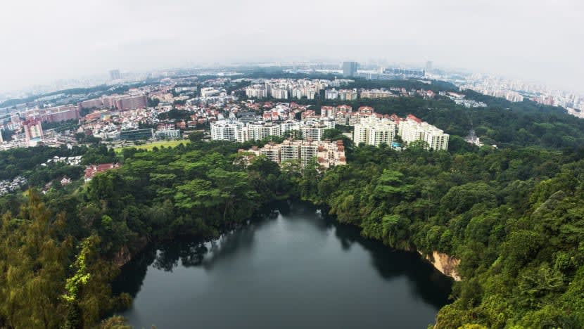 S'pura tuan rumah pertandingan hutan hijau antarabangsa pada 2023 S'pura tuan rumah pertandingan hutan hijau antarabangsa pada 2023