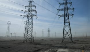 China's record-breaking heat pushes power demand to new high