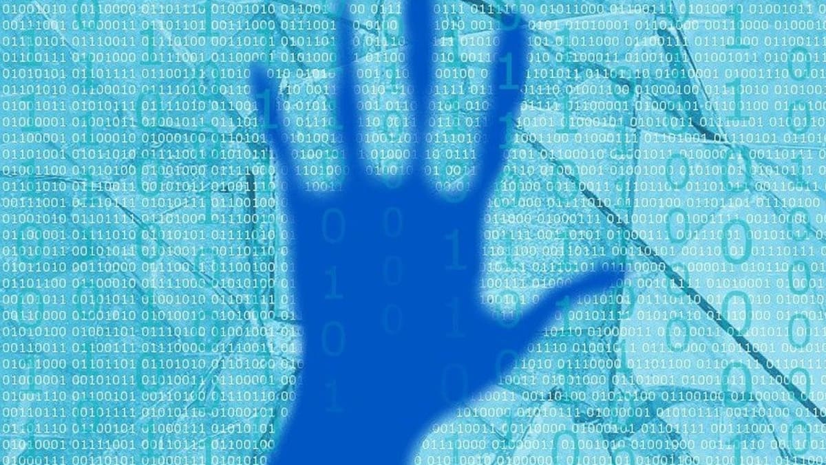 Cyber Interference Foreign interference law to come into force from July 7, with measures ...