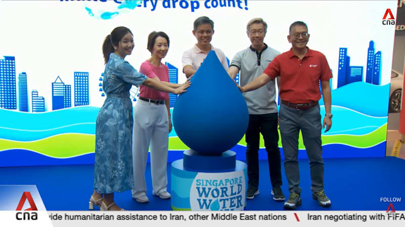 Singapore World Water Day: How households and businesses can do their part to save water