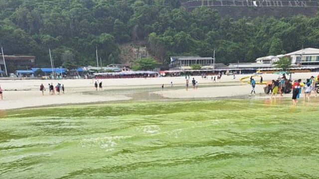 芭提雅外岛海水突变绿 网民：是不是鲸鱼粪便惹的祸？