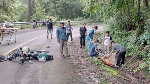 骑车撞到野生大象 泰国老翁遭踩死