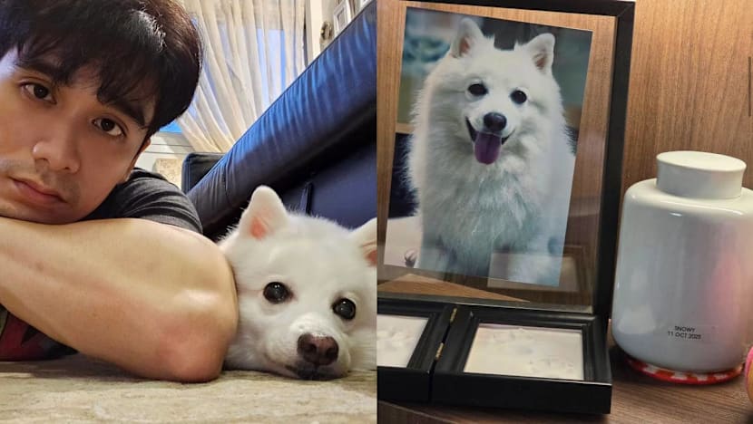 Joel Choo Heartbroken After Beloved Dog Dies From Bone Marrow Cancer