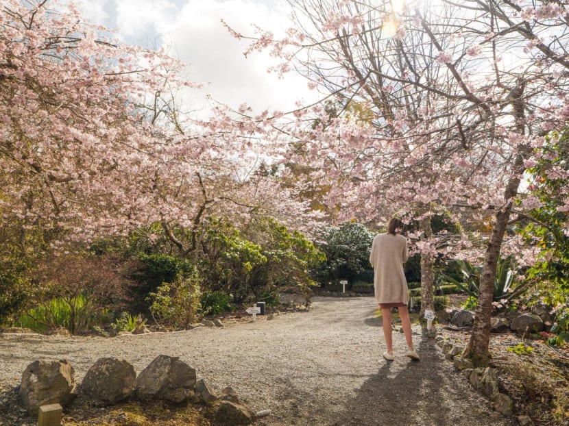 4 reasons why a springtime visit to New Zealand should be on your bucket list