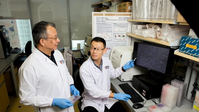 国大科研人员：用磁脉冲激活肌肉细胞或许可以自然防御癌症