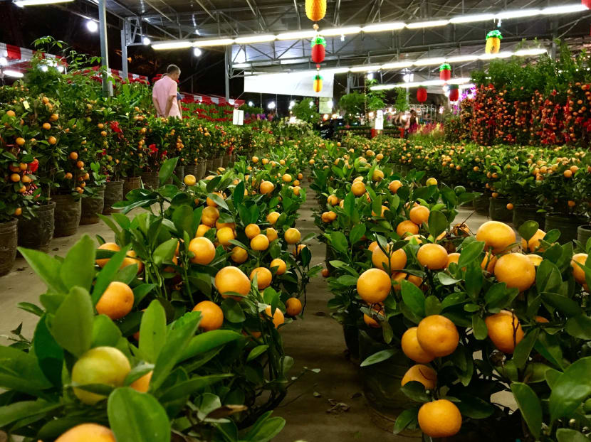 Photo: Channel NewsAsia