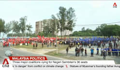 Negeri Sembilan state election: 103 candidates from seven parties contesting 36 seats