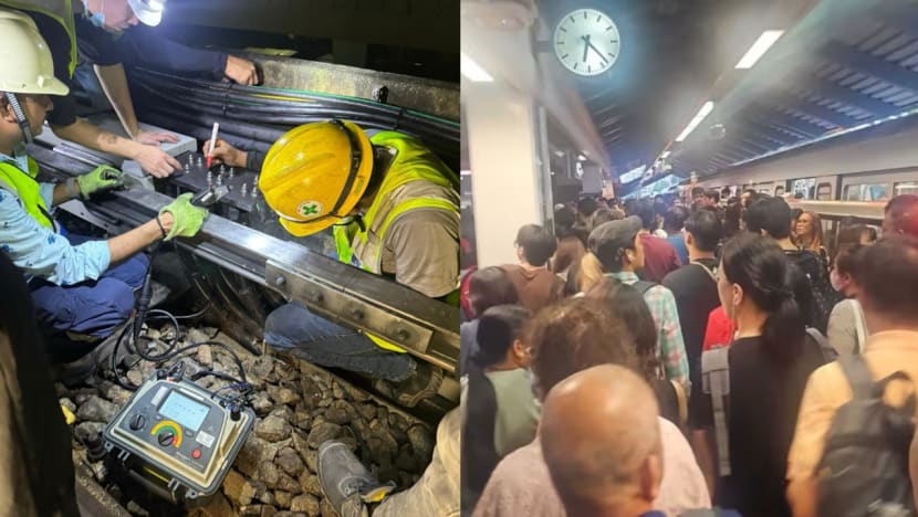 Surge arrester failed to work when lightning struck, causing North-South Line disruption: LTA