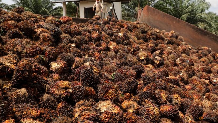 Malaysia rules out raising palm oil's biodiesel blend to 20% Malaysia rules out raising palm oil's biodiesel blend to 20%