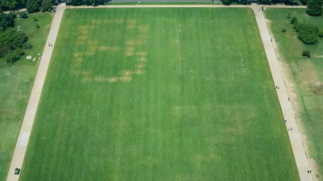 华盛顿国家广场疑现“8647”字样 当局已展开调查