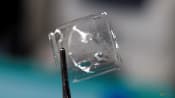 Scientists in Japan develop plastic that dissolves in seawater within hours
