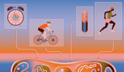 The key to ageing and longevity may be found inside our cells