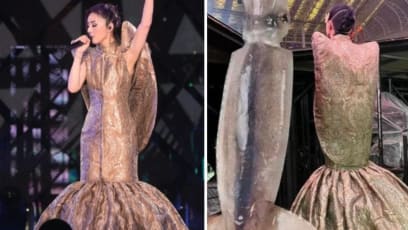 Miriam Yeung, 49, Mocked For Looking Like BBQ Sotong At Recent Concert