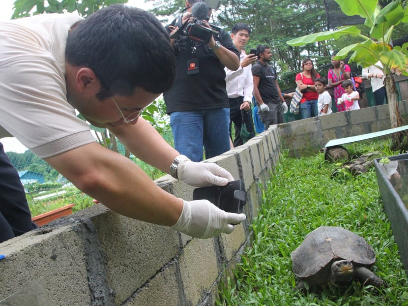 Wildlife sanctuary for rescued animals opens