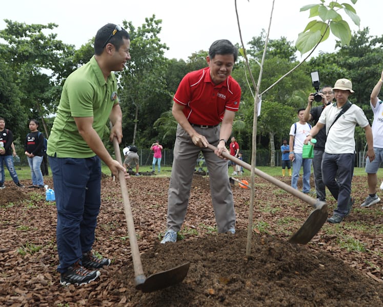 Five new species of fauna recorded in Pulau Ubin