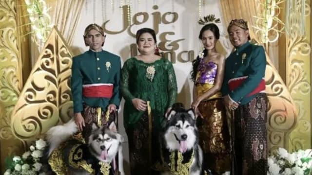为爱犬办奢华“婚礼” 两印尼女子挨轰
