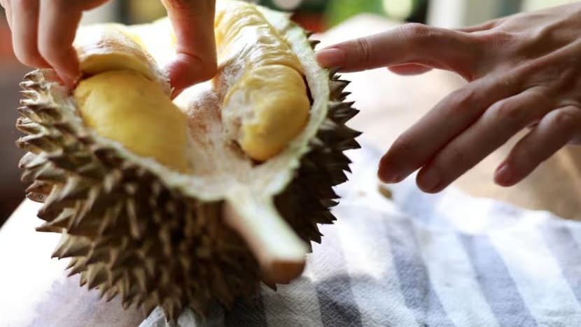 Kaya gizi dan berkerabat dengan kakao? Ini 7 fakta ilmiah tentang durian yang jarang diketahui