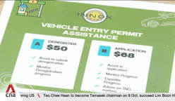 Surge in number of enquiries about Vehicle Entry Permit applications 