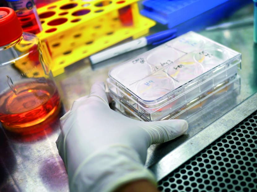 Stem cells from a pricked finger