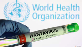 WHO: Wabah Hantavirus di kapal pesiar picu kewaspadaan, namun risiko pandemi dinilai rendah