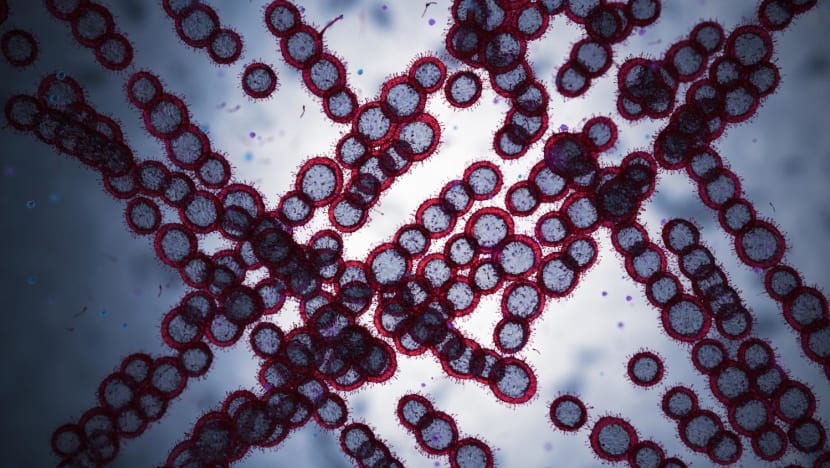 38 cases of drug-resistant Candida auris fungal infection reported in Singapore since 2019