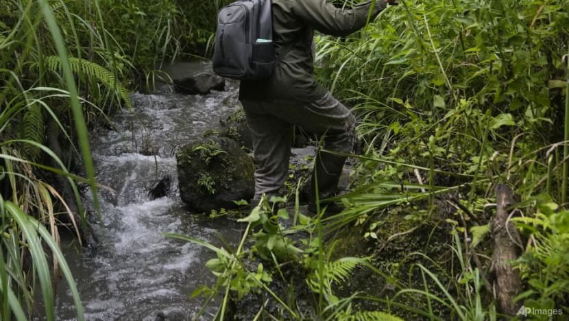 In Indonesia, women ranger teams go on patrol to slow deforestation In Indonesia, women ranger teams go on patrol to slow deforestation