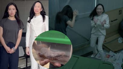 soul-doctor-cockroach-scene