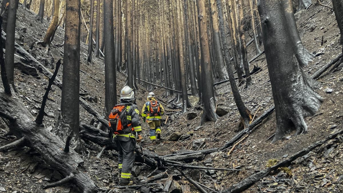 Rain checks spread of Japan wildfire Rain checks spread of Japan wildfire