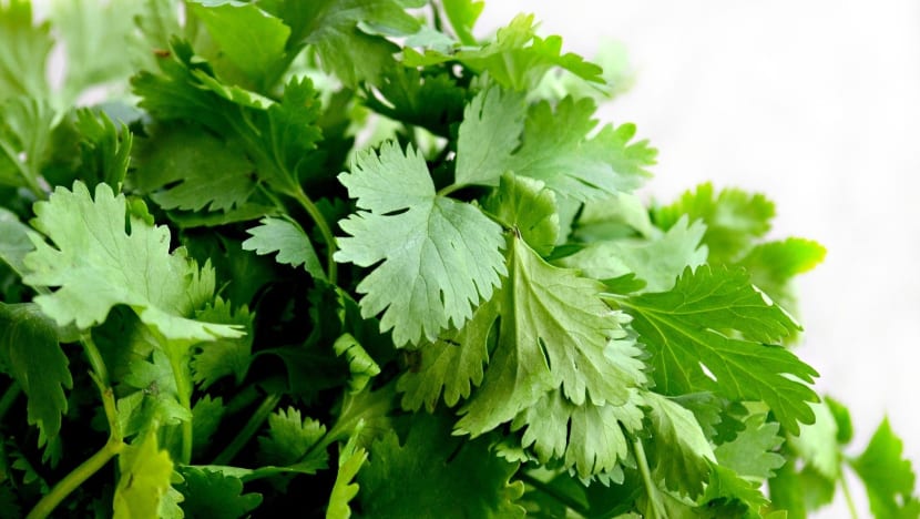 Man fined for importing more than 450kg of coriander without proper permit