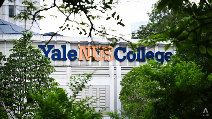 Commentary: Yale-NUS library outcry was never just about rehoming books