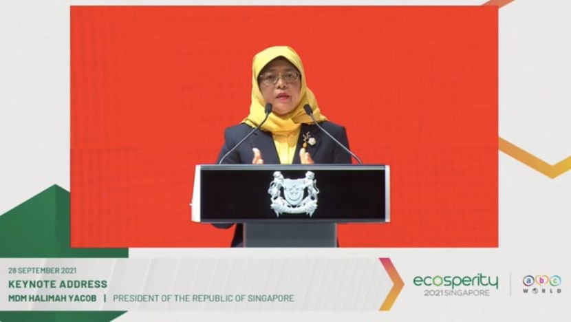 Tindakan tegas, hasil dipersetujui bersama 'penting' bagi tangani krisis iklim, tekan Presiden Halimah