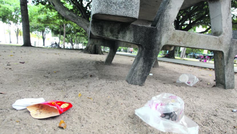 Volunteers to get enforcement powers to deal with ‘green’ offences
