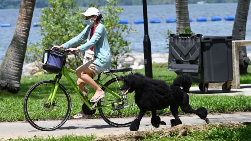 Dry weather expected to continue for the rest of February