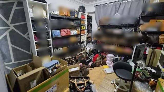 TikTok卖冒牌名牌货 女子落网 警方起获700多件假货